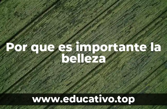 Por que es importante la belleza