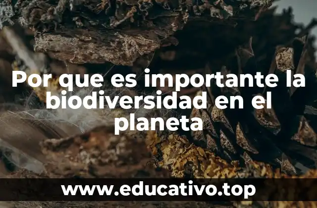 Por que es importante la biodiversidad en el planeta