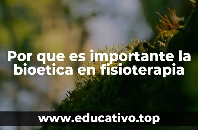Por que es importante la bioetica en fisioterapia