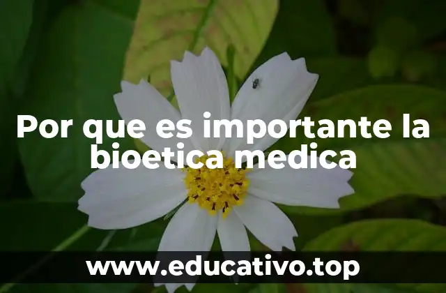 Por que es importante la bioetica medica