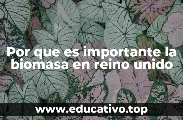 Por que es importante la biomasa en reino unido