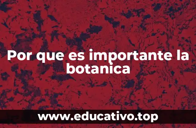 Por que es importante la botanica