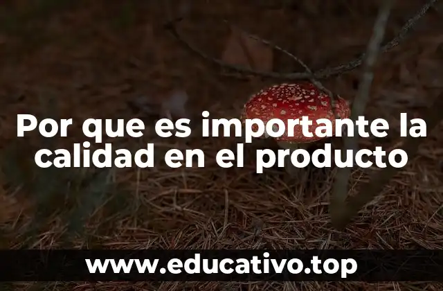Por que es importante la calidad en el producto