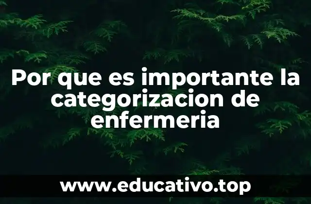 Por que es importante la categorizacion de enfermeria