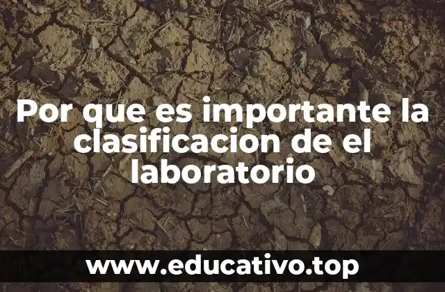 Por que es importante la clasificacion de el laboratorio