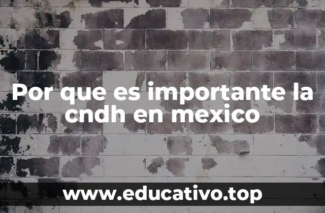 Por que es importante la cndh en mexico
