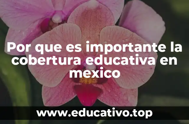 Por que es importante la cobertura educativa en mexico
