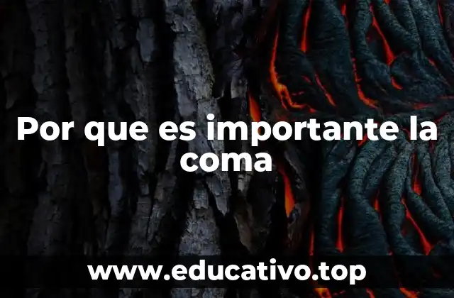 Por que es importante la coma