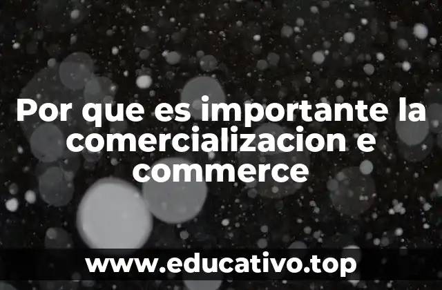 Por que es importante la comercializacion e commerce