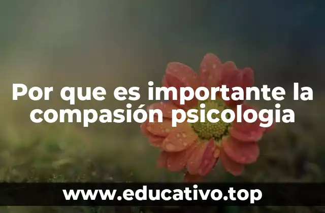Por que es importante la compasión psicologia