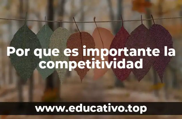 Por que es importante la competitividad