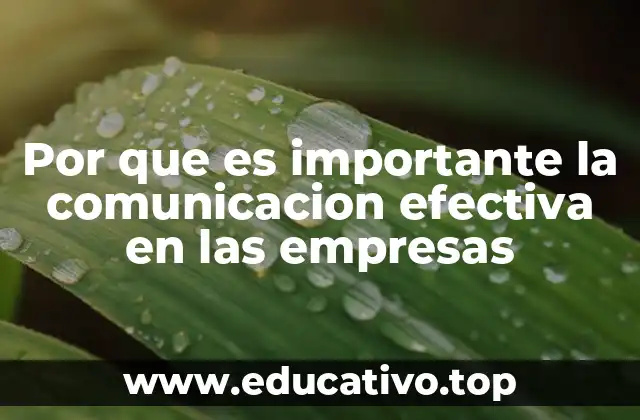 Por que es importante la comunicacion efectiva en las empresas