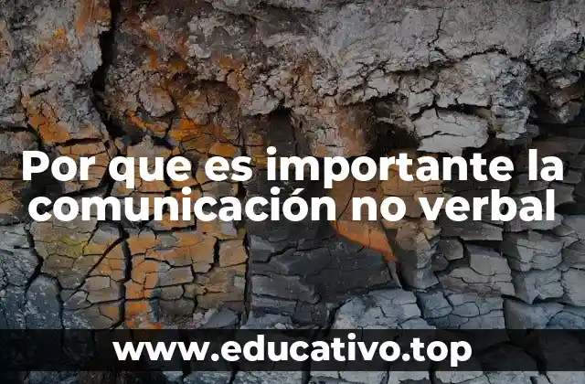 Por que es importante la comunicación no verbal