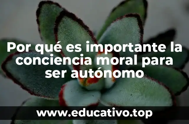 Por qué es importante la conciencia moral para ser autónomo