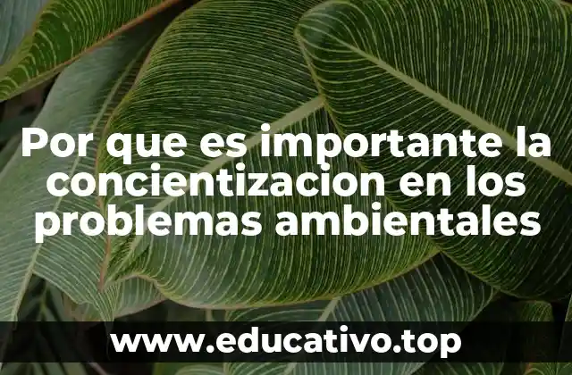 Por que es importante la concientizacion en los problemas ambientales