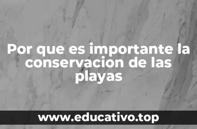 Por que es importante la conservacion de las playas