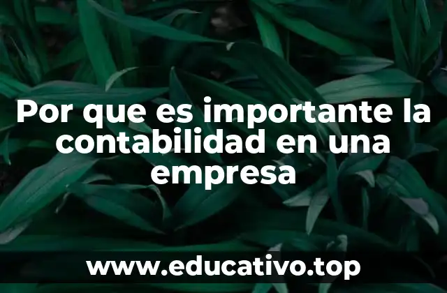 Por que es importante la contabilidad en una empresa
