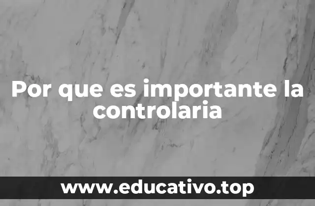 Por que es importante la controlaria