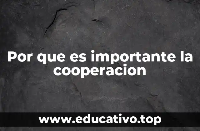 Por que es importante la cooperacion
