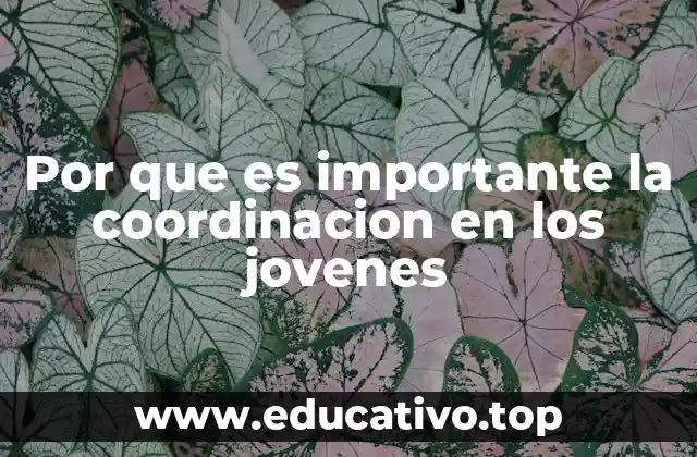 Por que es importante la coordinacion en los jovenes