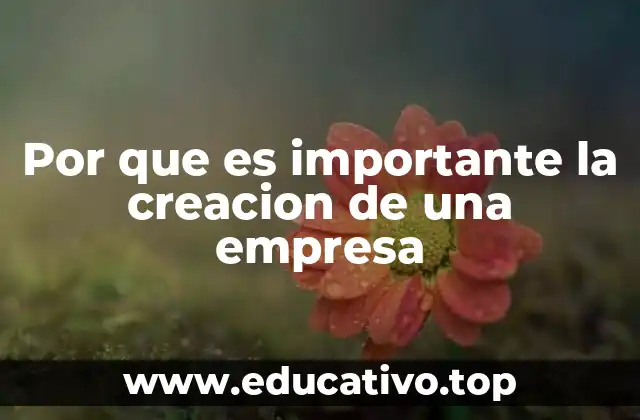 Por que es importante la creacion de una empresa