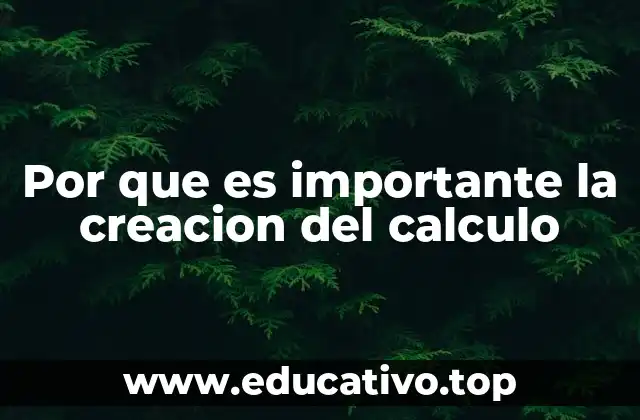 Por que es importante la creacion del calculo