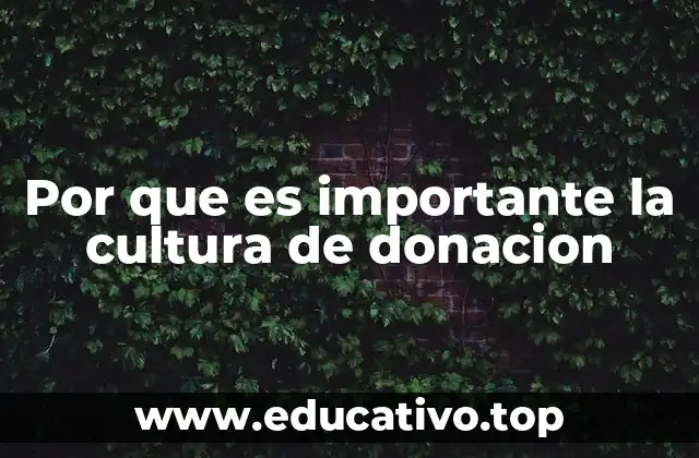 El rol de la solidaridad en la sociedad moderna