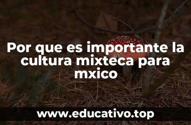 Por que es importante la cultura mixteca para mxico
