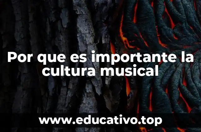 Por que es importante la cultura musical