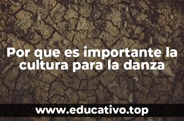 Por que es importante la cultura para la danza