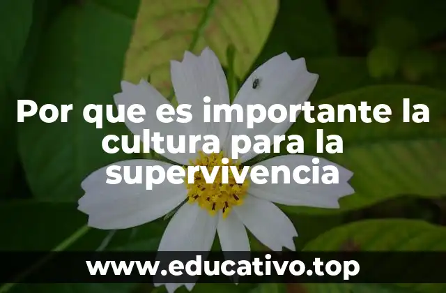 Por que es importante la cultura para la supervivencia