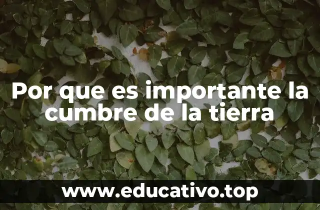 La unión global frente a los retos ambientales