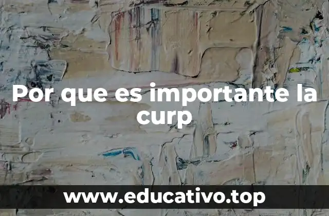 Por que es importante la curp