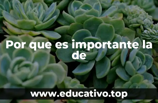 Por que es importante la de