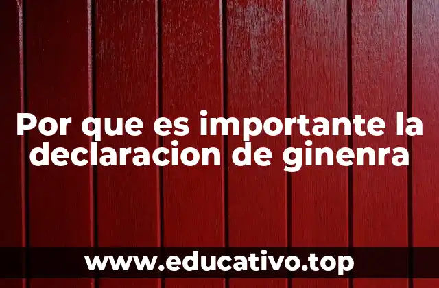 Por que es importante la declaracion de ginenra