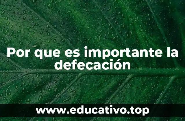 La salud intestinal y el papel de la evacuación intestinal