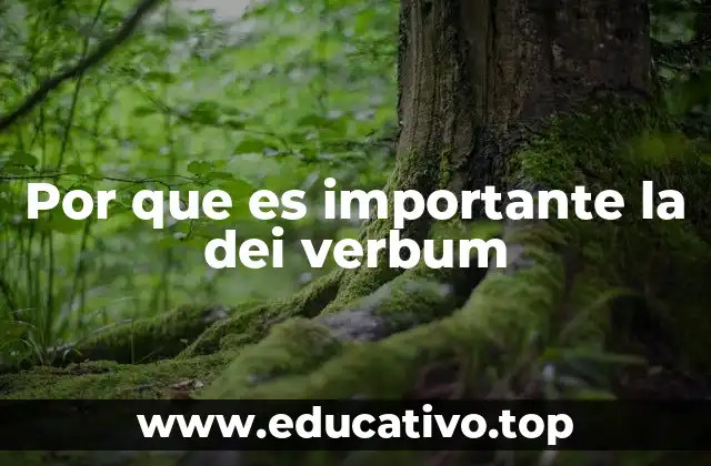 Por que es importante la dei verbum