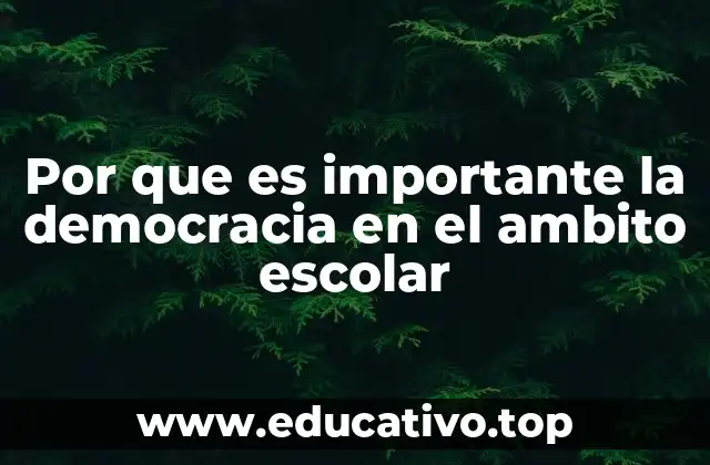 Por que es importante la democracia en el ambito escolar