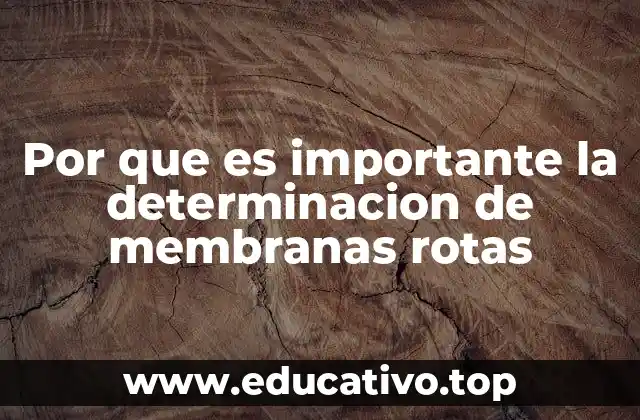 Por que es importante la determinacion de membranas rotas