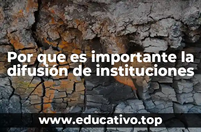 Por que es importante la difusión de instituciones