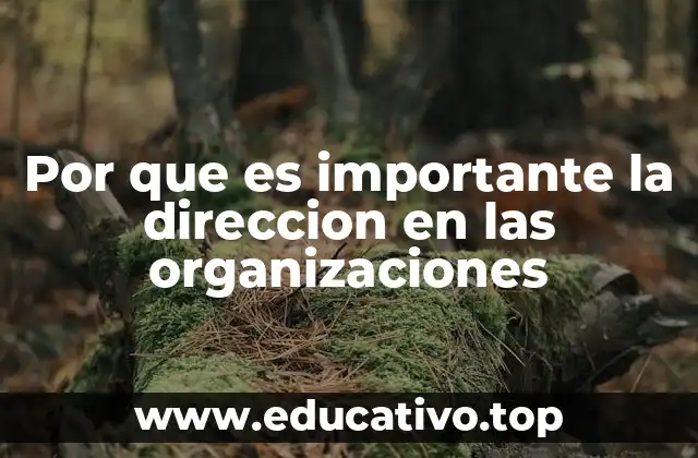 Por que es importante la direccion en las organizaciones
