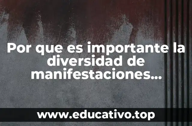 Por que es importante la diversidad de manifestaciones culturales