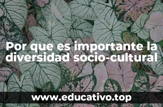 Por que es importante la diversidad socio-cultural