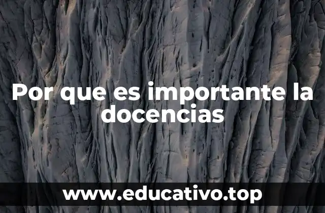 Por que es importante la docencias