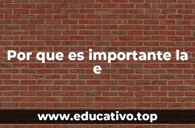 Por que es importante la e