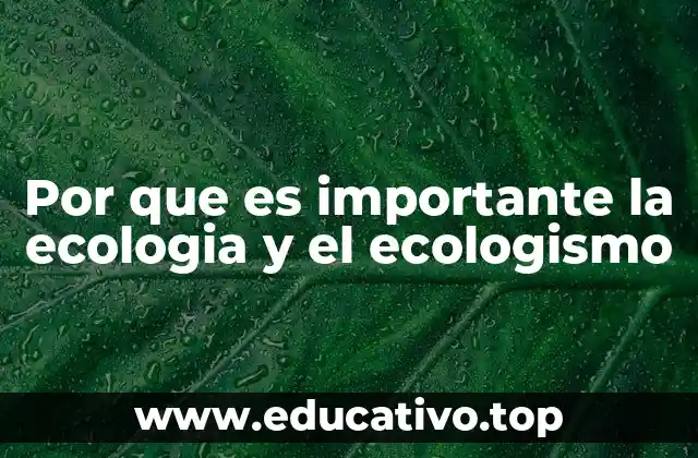 Por que es importante la ecologia y el ecologismo