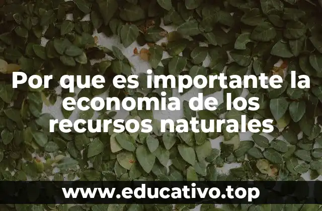Por que es importante la economia de los recursos naturales