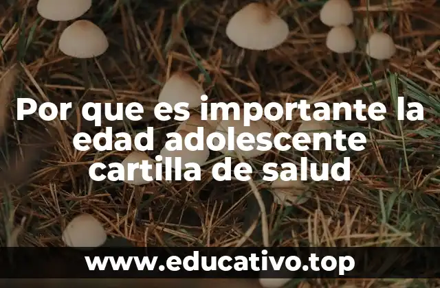 Por que es importante la edad adolescente cartilla de salud