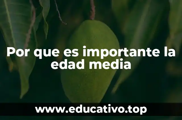 Por que es importante la edad media