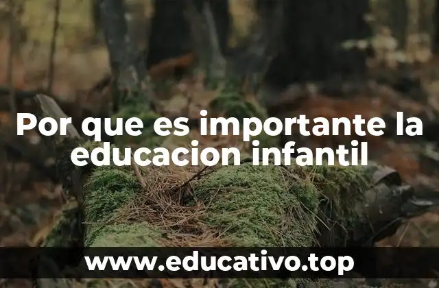 Por que es importante la educacion infantil